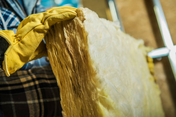 Best Types of Insulation in Tahoe Vista, CA